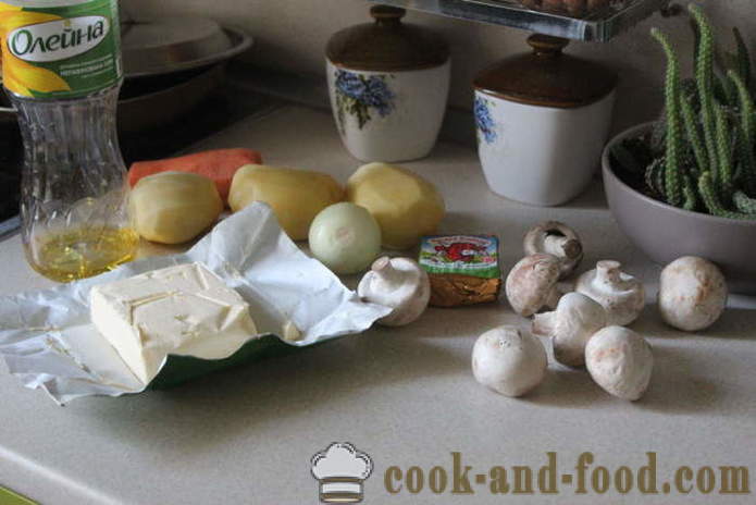 Sopa de cogumelo com queijo - como cozinhar sopa de queijo com cogumelos bem rápido saborosa, com um passo a passo fotos de receitas