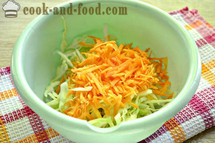 Passo a passo receita foto deliciosa salada de repolho fresco e cenoura - como cozinhar uma deliciosa salada de jovens de repolho e cenoura