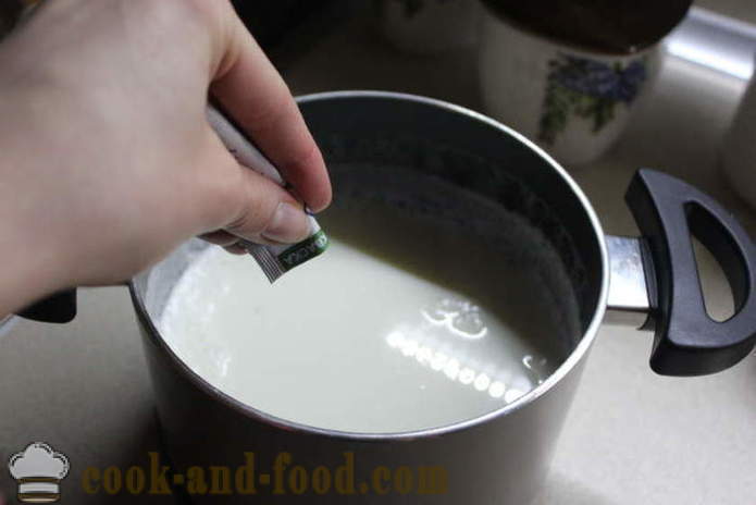 Iogurte caseiro do leite para fermentar - como fazer iogurte em casa, passo a passo fotos de receitas