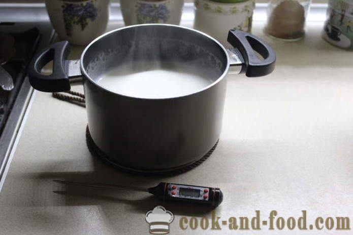 Iogurte caseiro do leite para fermentar - como fazer iogurte em casa, passo a passo fotos de receitas