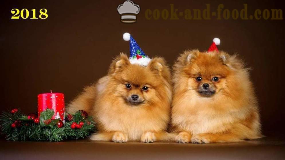 Wallpaper grátis Natal 2018 cães, cães e filhotes - wallpapers de download em seu desktop para livre