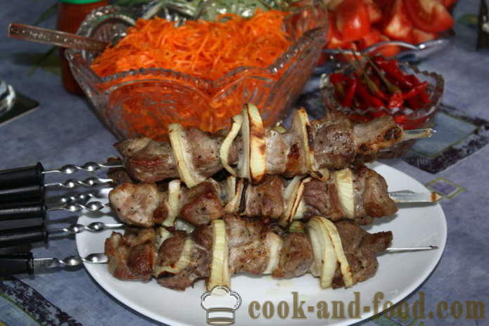 Kebab no pescoço de porco elektroshashlychnitsy - como cozinhar kebabs em elektroshashlychnitsy, passo a passo fotos de receitas