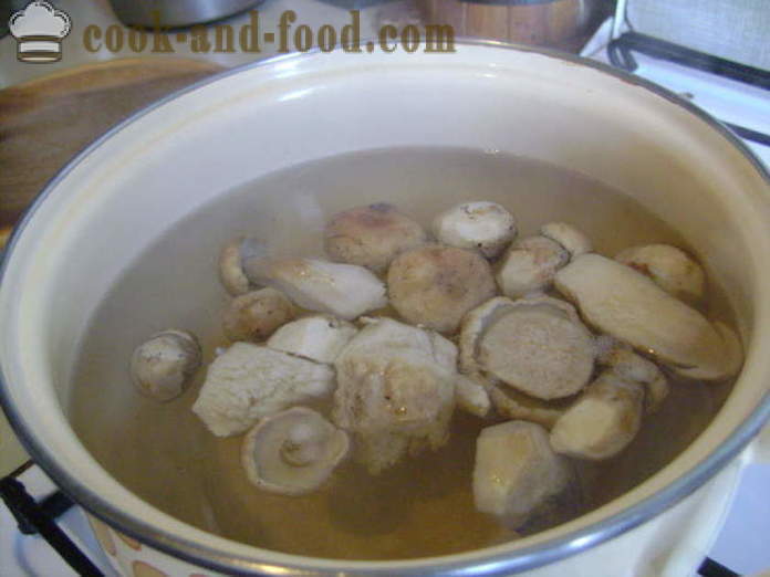Deliciosa sopa de cogumelo dos cogumelos brancos congelados - como cozinhar sopa dos cogumelos brancos congelados, um passo a passo fotos de receitas