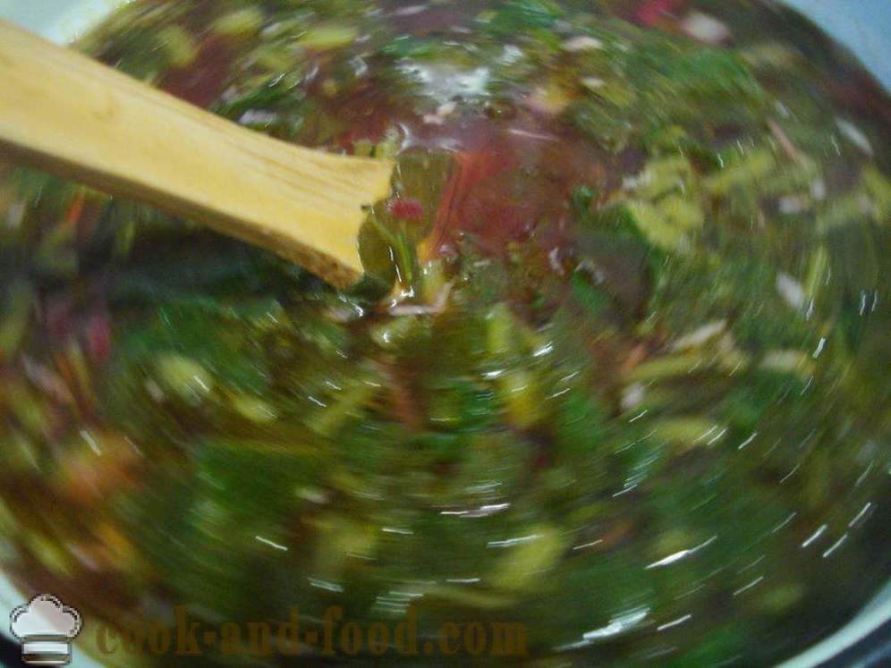 Sopa vegetal com sorrel - como cozinhar sopa com azeda, um passo a passo fotos de receitas