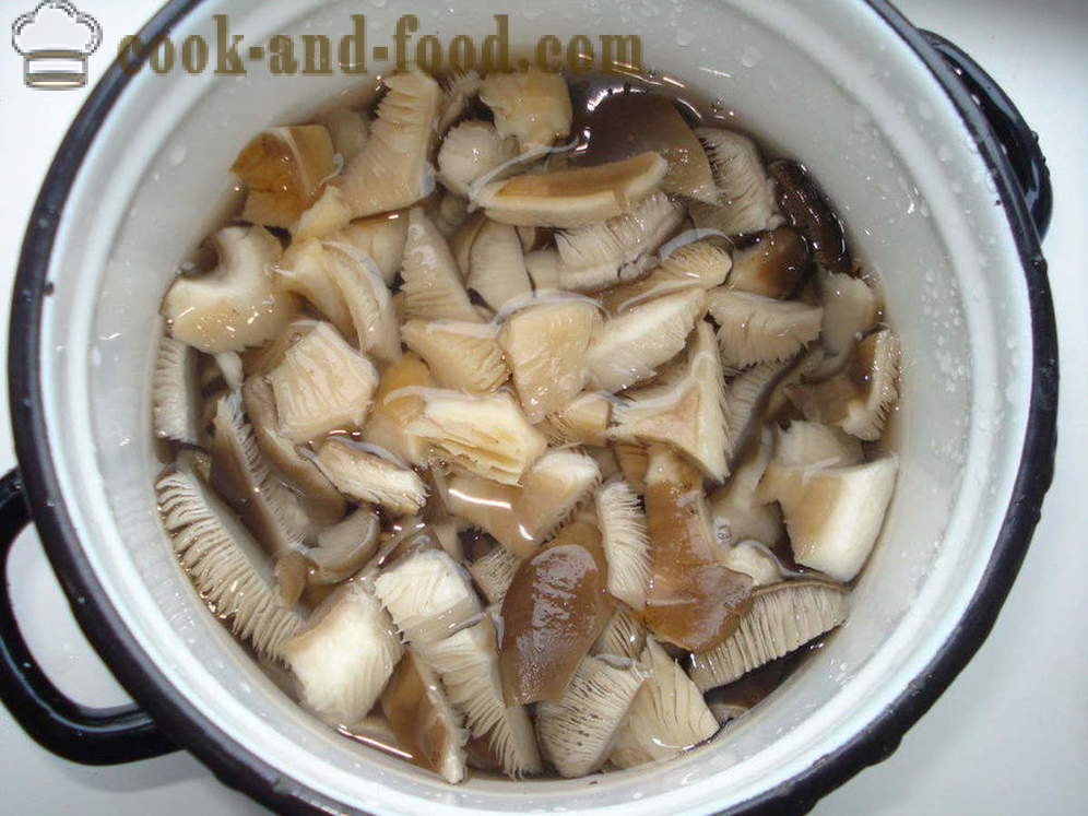 Cogumelos de ostra frita com cebola e especiarias - Como a cozinhar cogumelos fritos de ostras, um passo a passo fotos de receitas