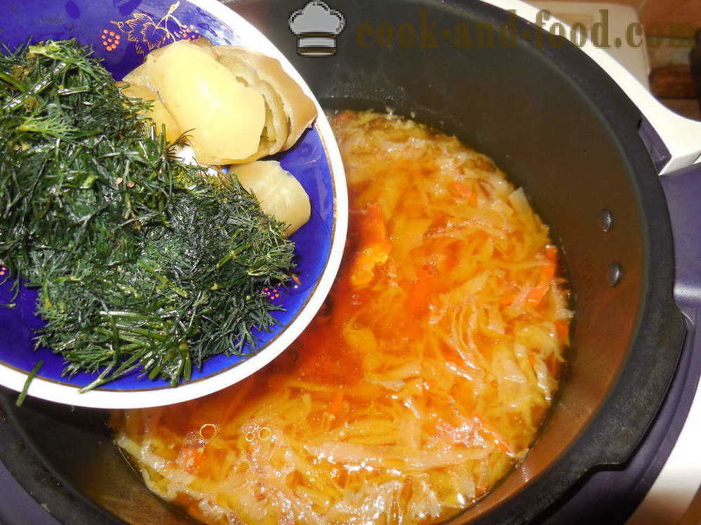 Sopa vegetal com sardinhas em molho de tomate em multivarka - como cozinhar sopa de legumes com anchovas, um passo a passo fotos de receitas
