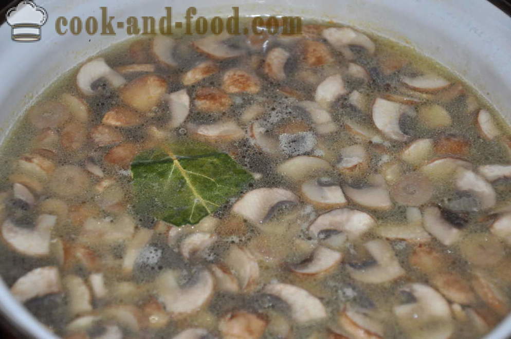 Sopa de cogumelo delicioso com cogumelos - como cozinhar sopa de cogumelos com cogumelos, um passo a passo fotos de receitas