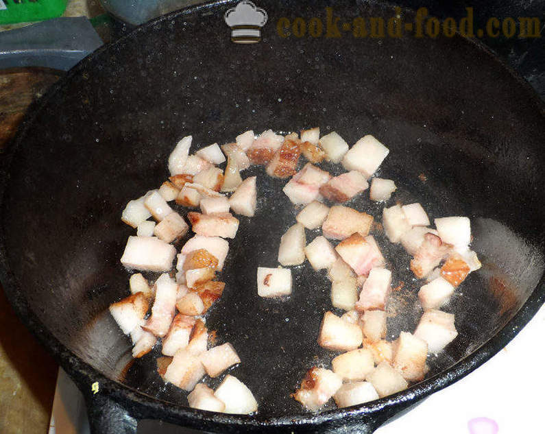 Bigus com repolho, carne e cogumelos - como cozinhar corretamente Bigus, um passo a passo fotos de receitas