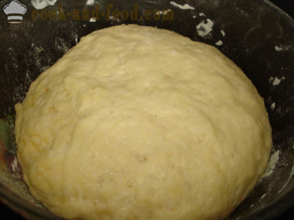 Bolo de fermento com sementes de papoula no forno - Como cozinhar um bolo com sementes de papoula, um passo a passo fotos de receitas