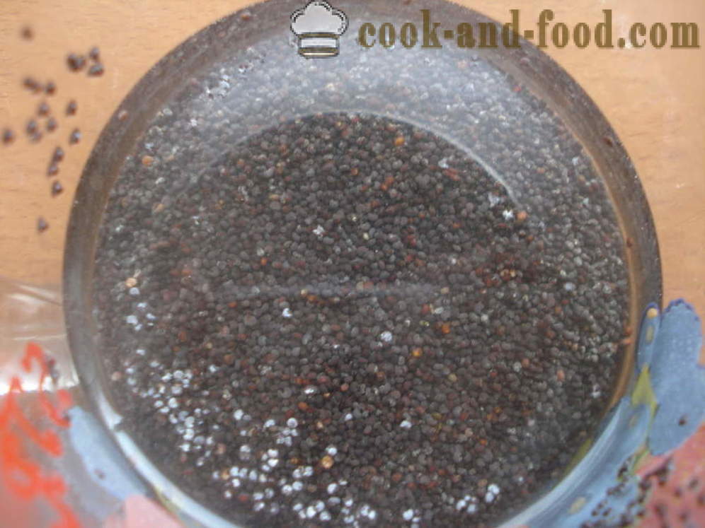 Bolo de fermento com sementes de papoula no forno - Como cozinhar um bolo com sementes de papoula, um passo a passo fotos de receitas