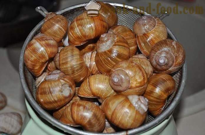 Preparação de caracóis em casa - Como preparar caracóis deliciosa receita com uma foto