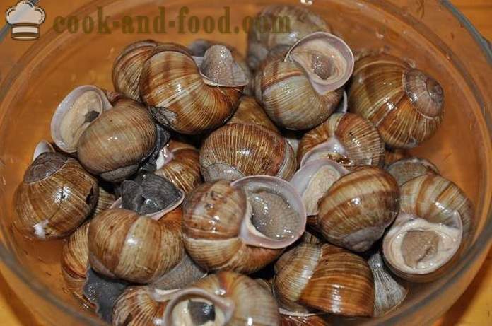 Preparação de caracóis em casa - Como preparar caracóis deliciosa receita com uma foto