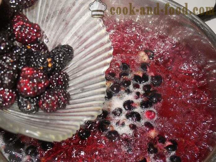 Geléia de fruta bagas de groselha, amoras, damascos e amido - como cozinhar bagas de geléia e amido, com um passo a passo fotos de receitas