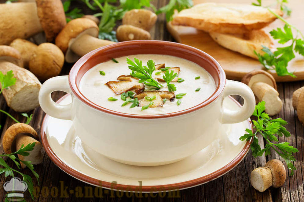 Branca sopa de cogumelo: duas receitas de pratos deliciosos