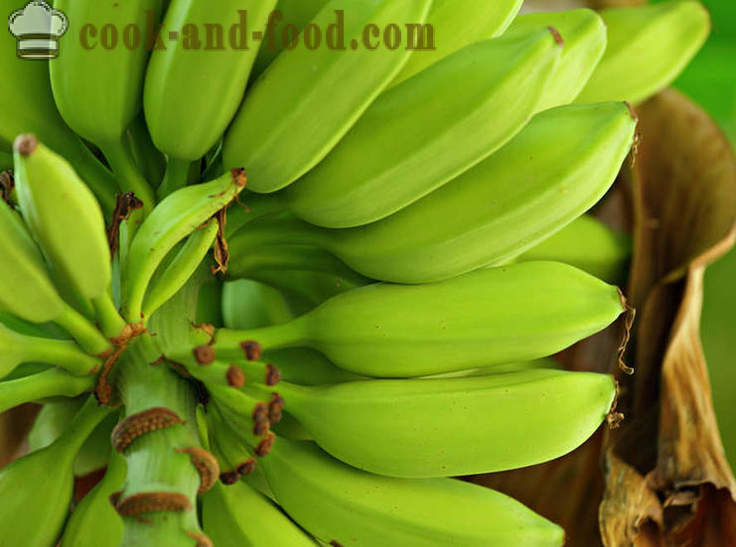 Banana: Africano e Asiático sobremesa sopa - receitas video em casa