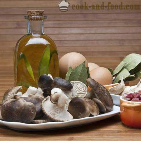 Pratos com cogumelos: três simples receita - receitas video em casa